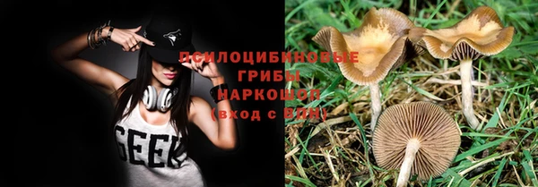 спиды Абдулино